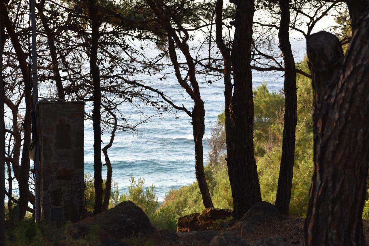 Dolihis Gi, Poseidon Βίλα Γιαλισκάρι Εξωτερικό φωτογραφία